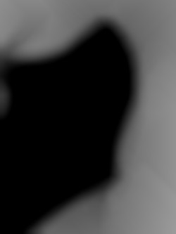 Member Image
