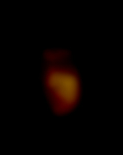 Member Image