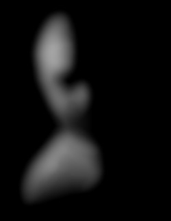 Member Image