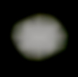 Member Image