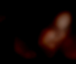 Member Image
