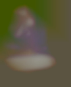 Member Image