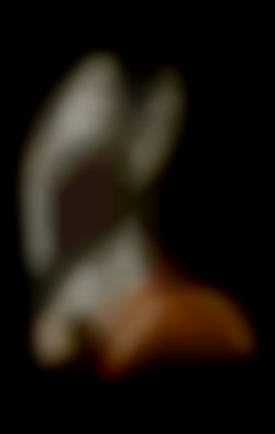 Member Image