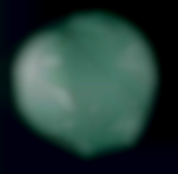 Member Image