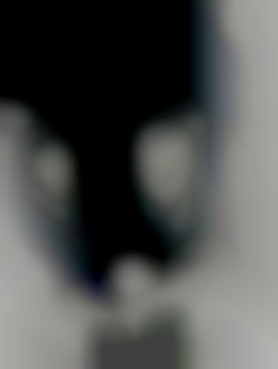 Member Image