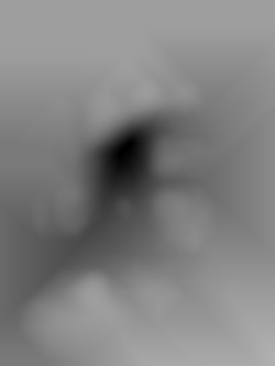 Member Image