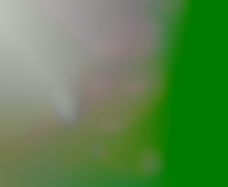 Member Image