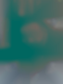 Member Image