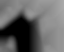 Member Image