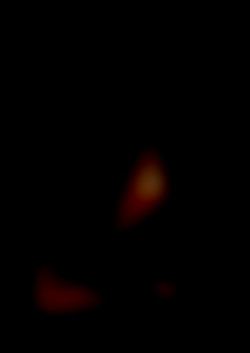 Member Image