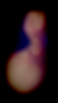 Member Image