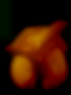 Member Image
