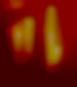 Member Image