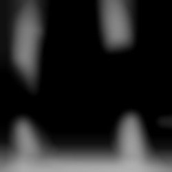 Member Image