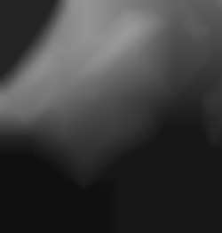Member Image