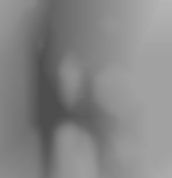 Member Image