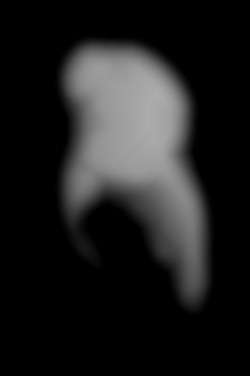 Member Image