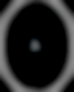 Member Image