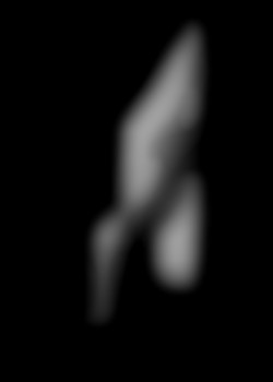 Member Image