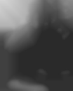 Member Image