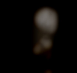 Member Image