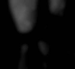 Member Image