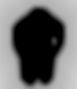 Member Image