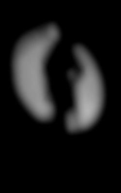 Member Image