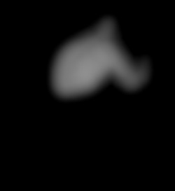 Member Image