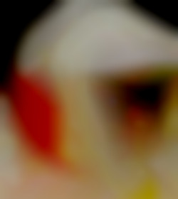Member Image