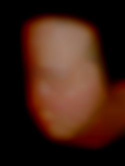 Member Image