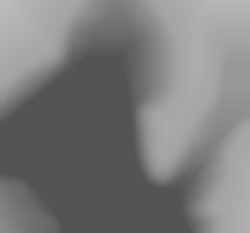 Member Image