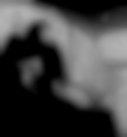 Member Image