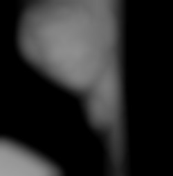 Member Image