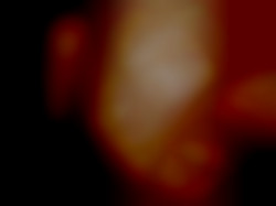 Member Image