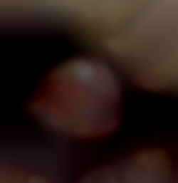 Member Image