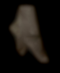 Member Image