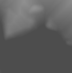 Member Image