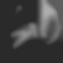 Member Image