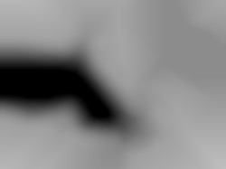 Member Image
