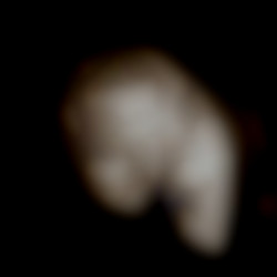 Member Image