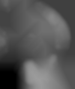 Member Image