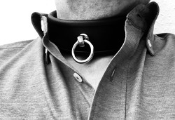 Member Image