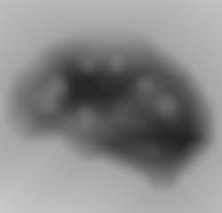 Member Image