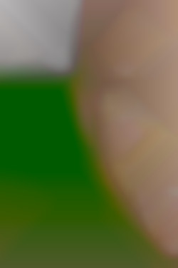 Member Image