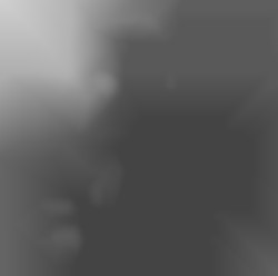 Member Image