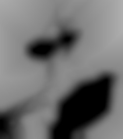Member Image