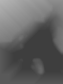 Member Image