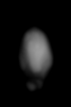 Member Image