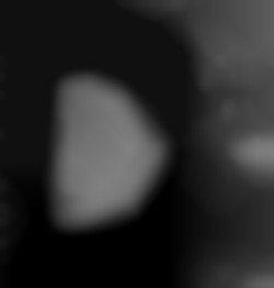 Member Image
